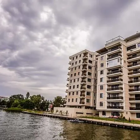 Apartament Apartament Violet Solid